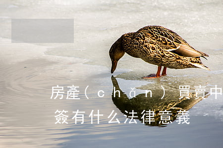 房產(chǎn)買賣中的“網(wǎng)簽”有什么法律意義？